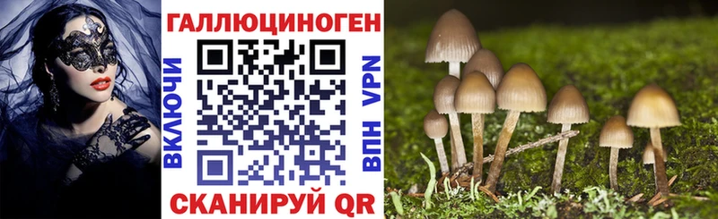 это какой сайт  Волчанск  Псилоцибиновые грибы ЛСД  цены   MEGA ONION 